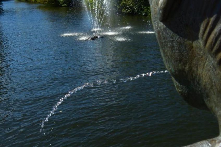 Haus Budinger - foto 9