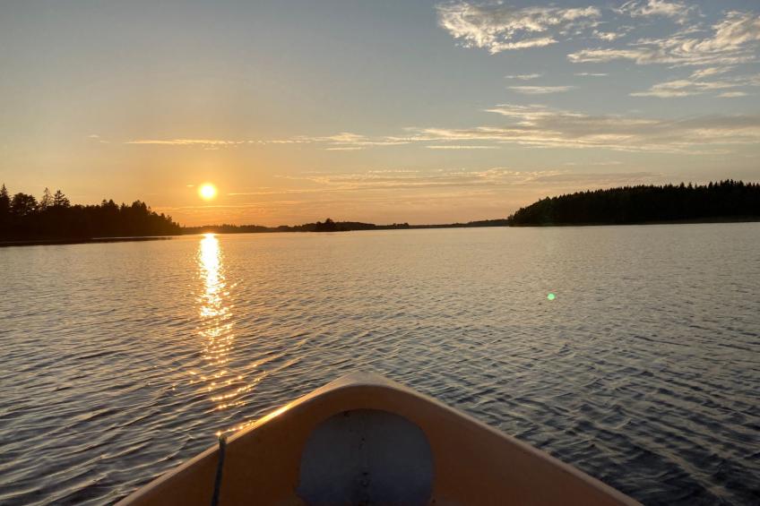 Blombacker - foto 27