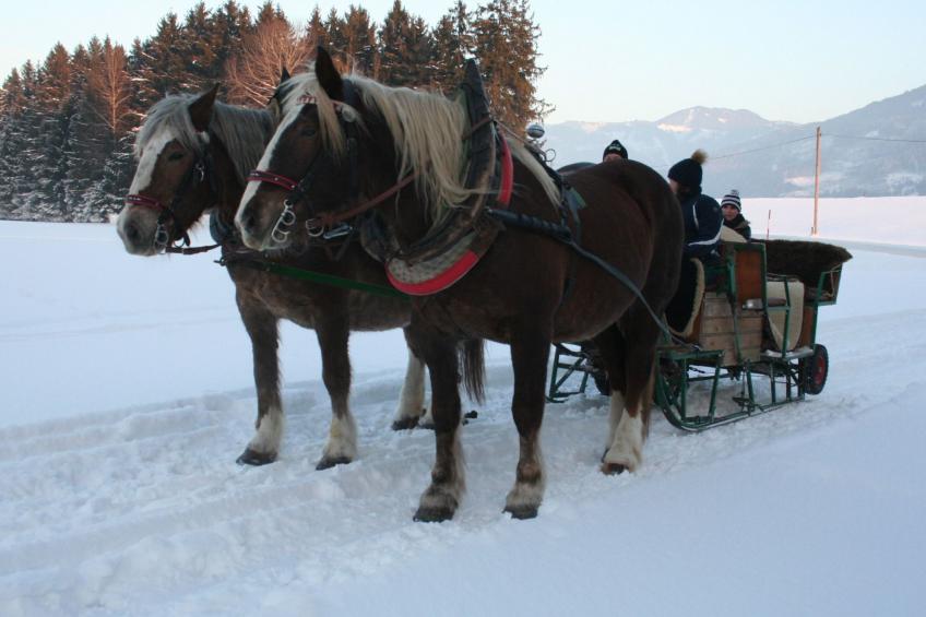 Bergchalet - foto 24