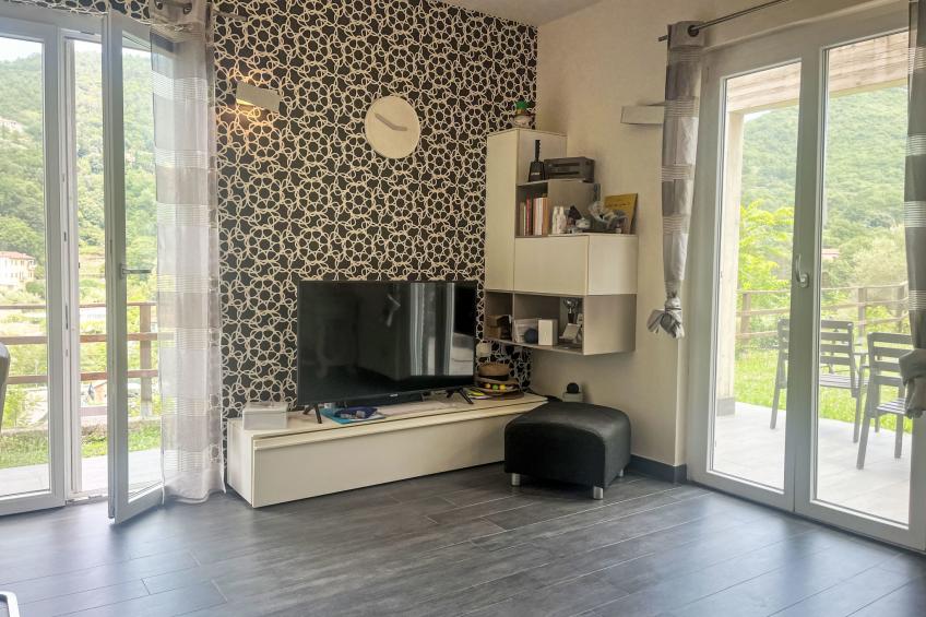 Le radici dell´ulivo - foto 5