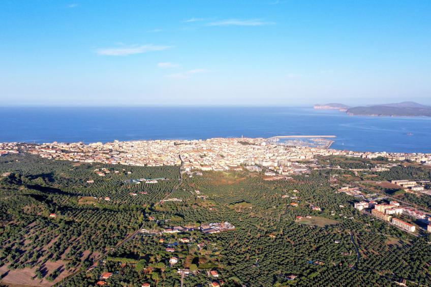 Fiordaliso - foto 32