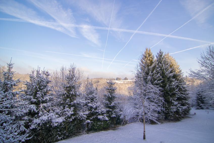 De Eekhoorn - foto 30