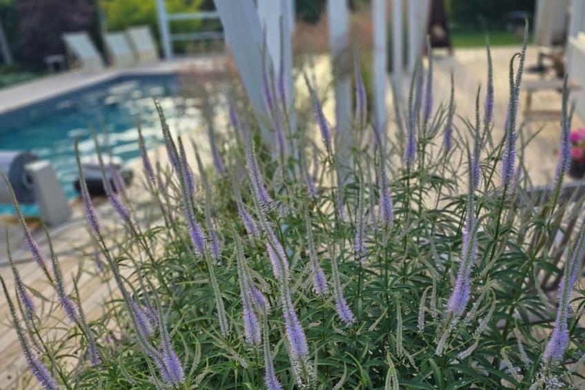 Villa Kungsstrand in Trosa - foto 16