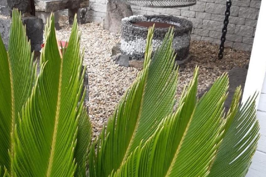 Sandra´s Ferienwohnung mit Pool - foto 13