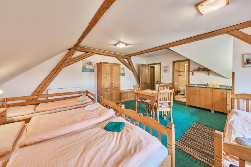 Haus Kaprasova (ULJ100) - foto 15