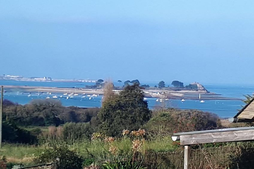 Die Ruhe des Landes am Meer in einer Region mit Gemüseanbau - foto 5