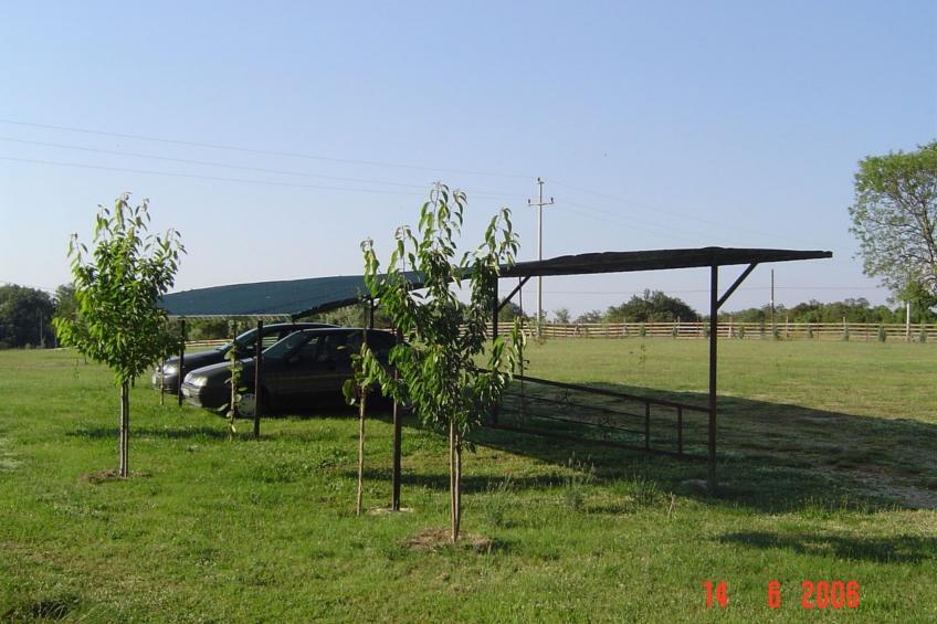 Casa Christa - foto 5