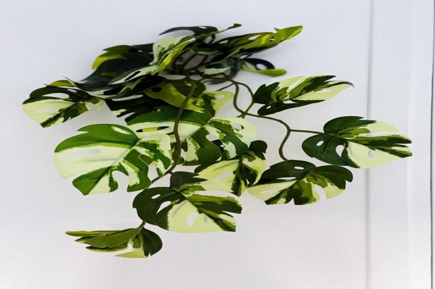 JB-16-AINAY-SYLVESTRE-2 - foto 13