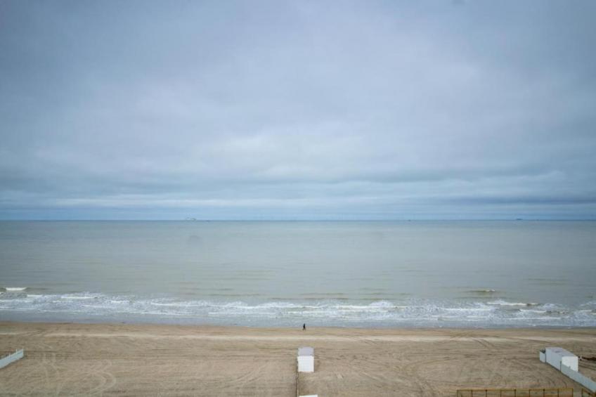 SEASIGHT - 31 - foto 36