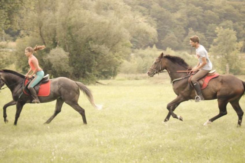 Zevnik Quiet Retreat with Stunning Views and Equestrian Activities - One Bedroom Apartment - foto 31