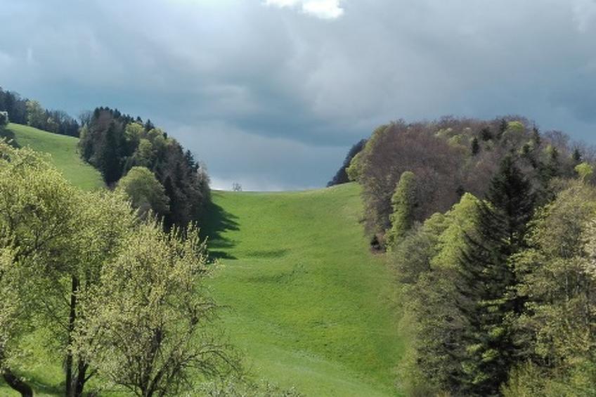 Appartements - Ferme La Joux-Chaupe, (St-Ursanne), - foto 26