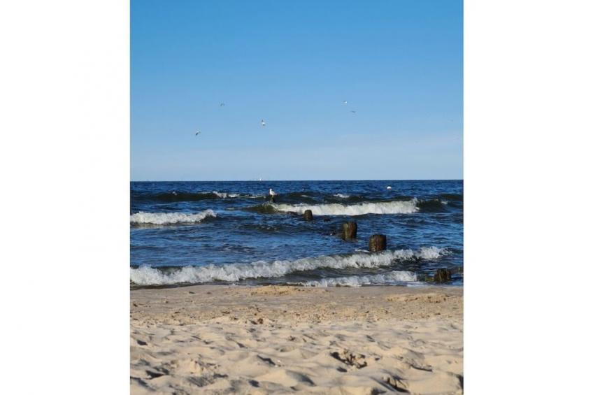 293745 - foto 20