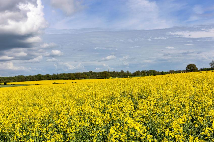 The Old Estate Office Nr Grantley Hall - foto 3