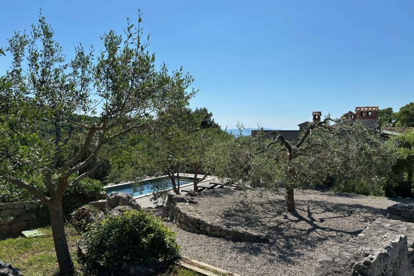 maison de vacances avec piscine et sauna - BF-7BFTM - foto 24