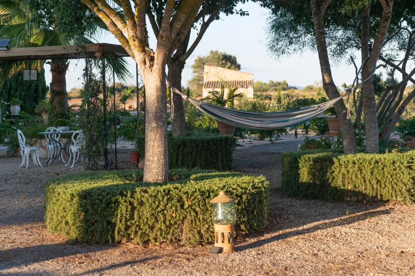 Banc Doli - foto 37
