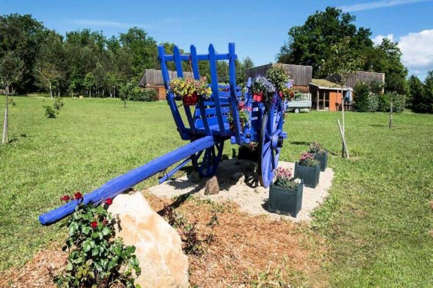 Domaine des Bories - foto 17