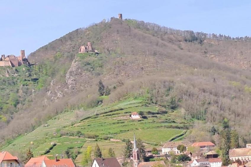 Le Domaine des Rois - foto 17