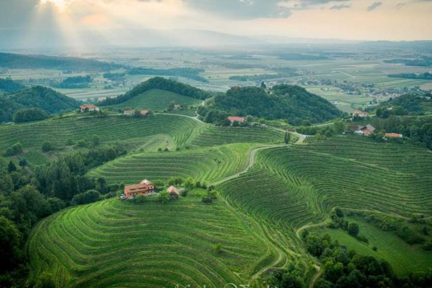 für 8 Personen  + 4 Kinder ca. 200 m² in Ptuj, Untersteiermark (Drau Slowe - foto 38