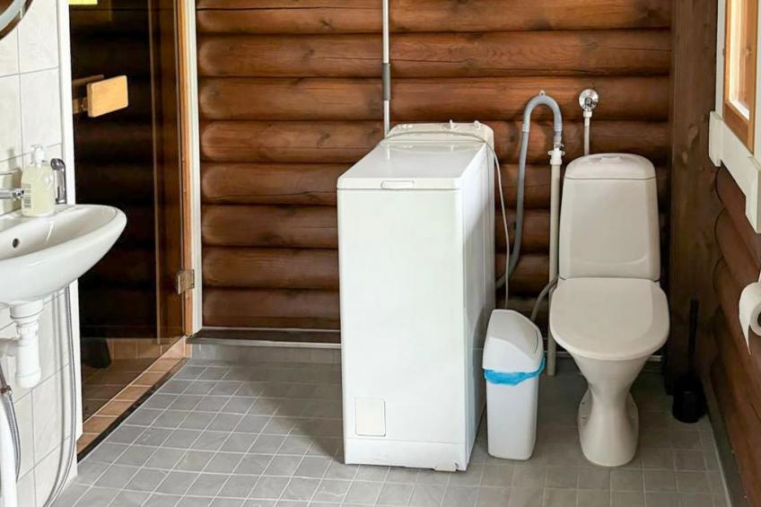 Ranta-koivu - foto 10