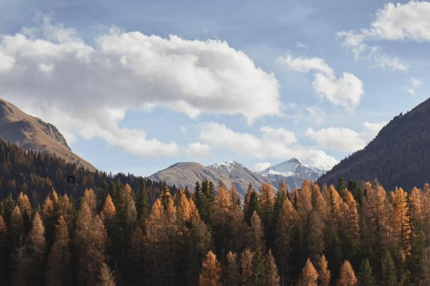 Chesa Pradels - foto 19