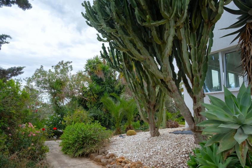 Villa Malvarosa - foto 19