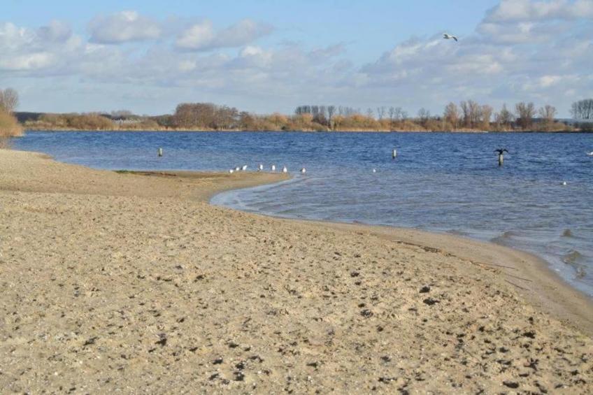 Familiehuis in Noordwijkerhout - foto 15