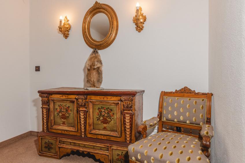 Mitteregg (MII350) - foto 16