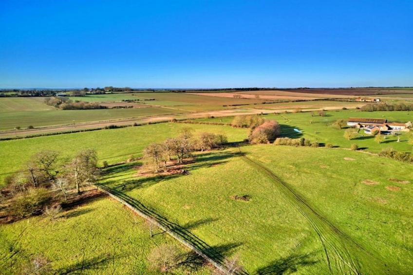 Wisteria at the Rookery - foto 20