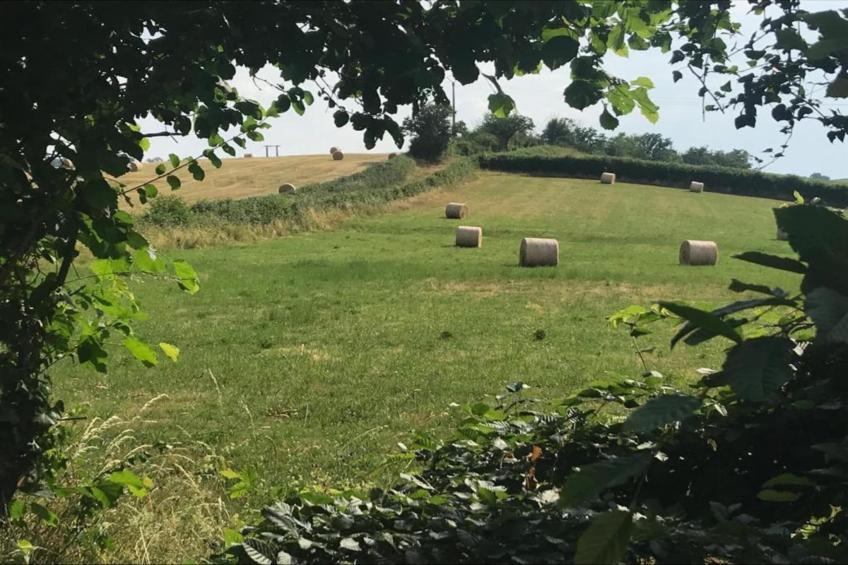 Maison Ferdinand - foto 40