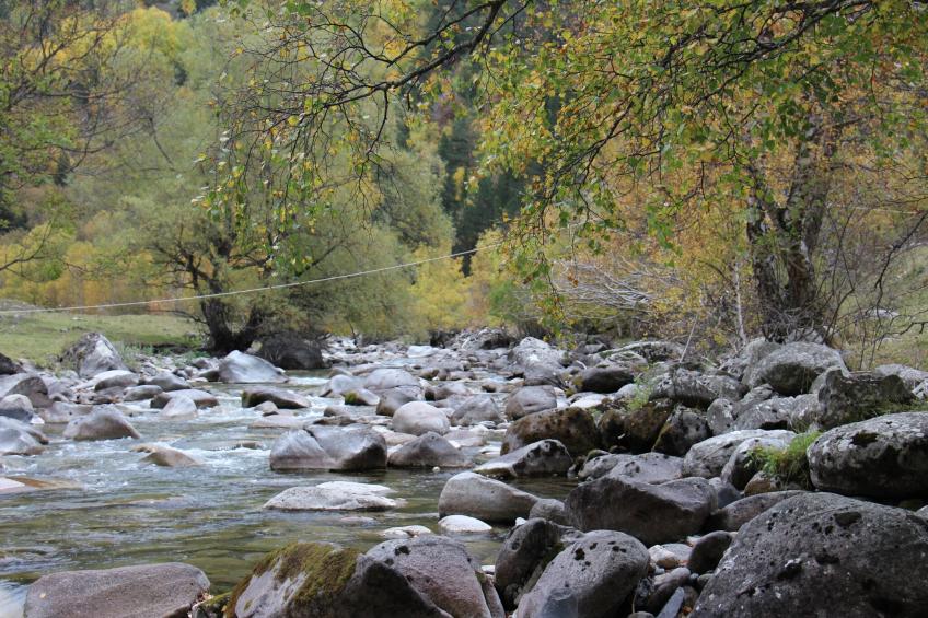 Cobert d'en Piarró - foto 26