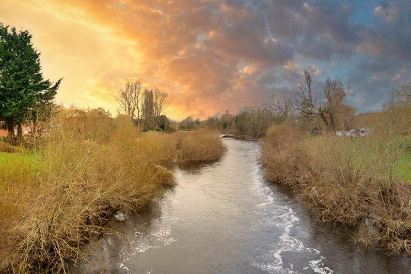 The Bank House - foto 10