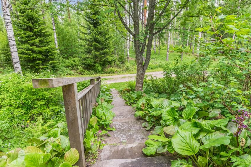 Tervapääsky - foto 25