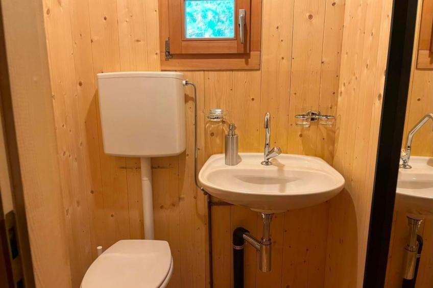 Presa Daint - foto 18