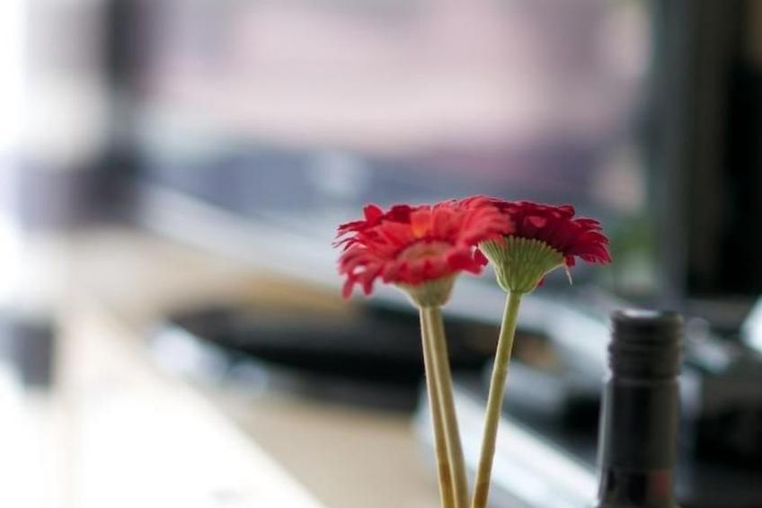 Appartement in Strandnähe - foto 14