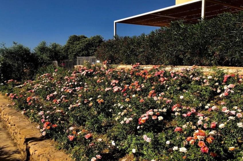 Graffeo-Häuser Haus der Rosen - foto 25