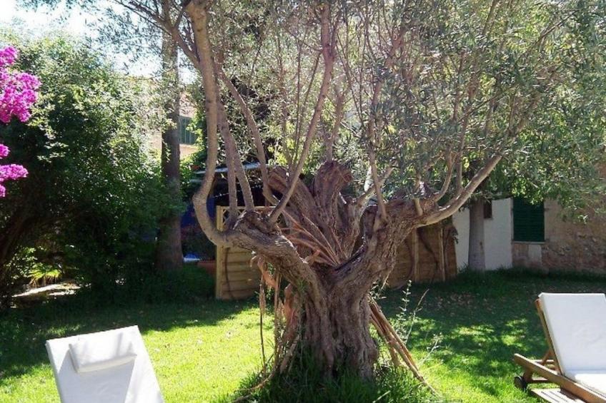 Garten Appartment - foto 33