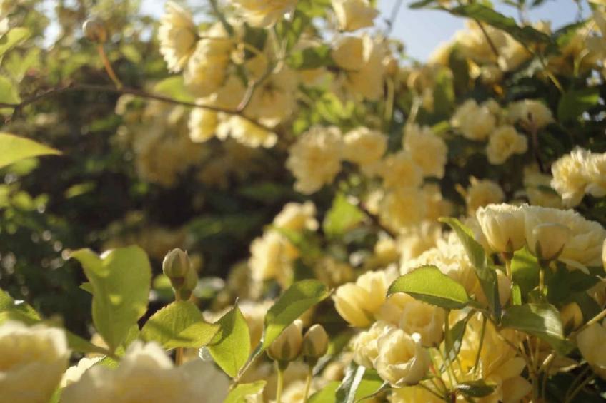 Locations-06 - Die Eugenie - foto 30