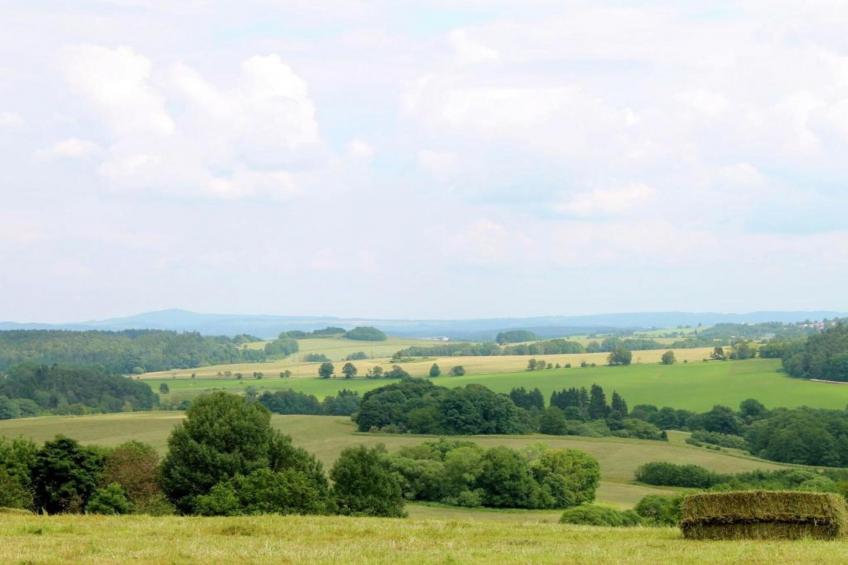 Dum u Lesa - foto 37