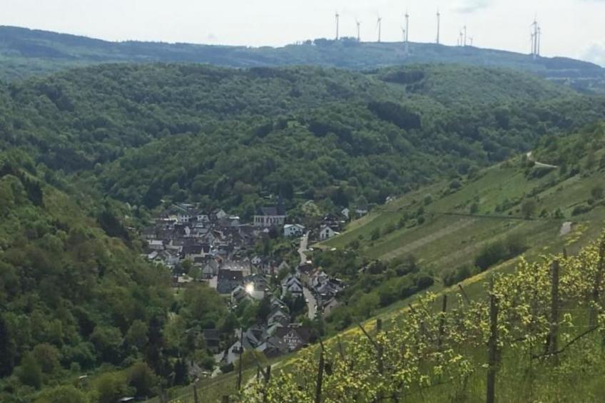 Schäfers Ferienwohnung Oberdiebach am Mittelrhein - foto 26