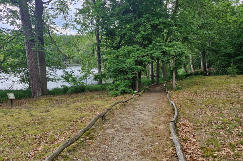 Hafendorf 1 Bedroom Apartment 3 guest - foto 33