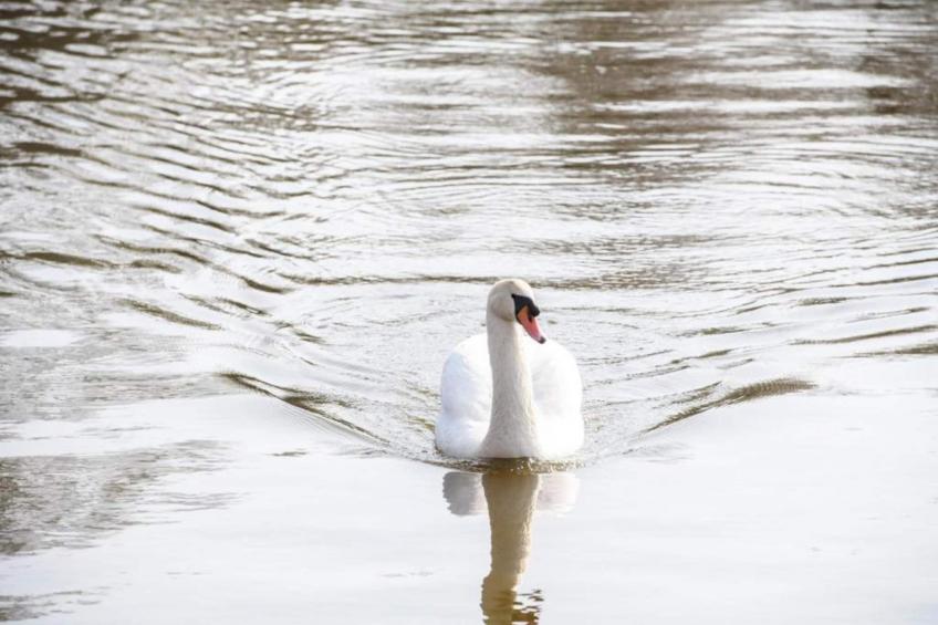 Bungalowpark Rien van den Broeke Village - foto 25