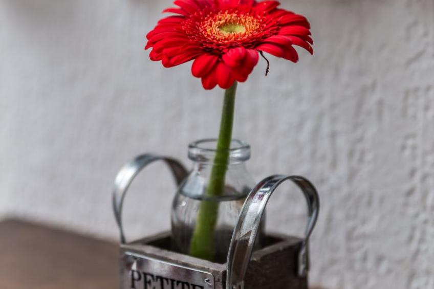 Magnolia Terrace Wohnung - foto 23