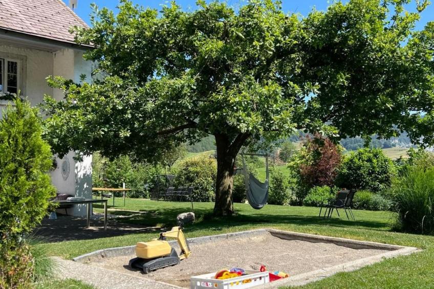 Schafmatthof Dachwohnung - foto 15