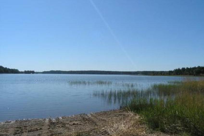 Metsämarja - foto 4