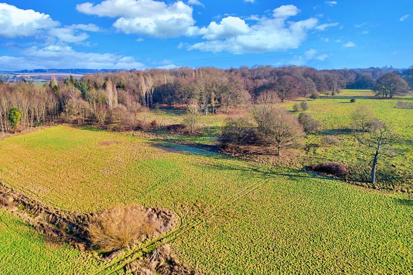 Pod Hollow - foto 18