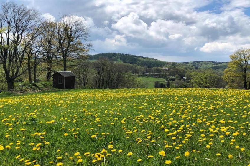 Sachsen - foto 37