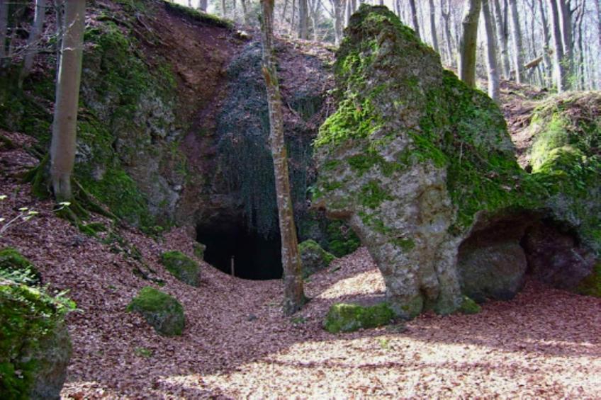 Ferienwohnung Birresborn - foto 28