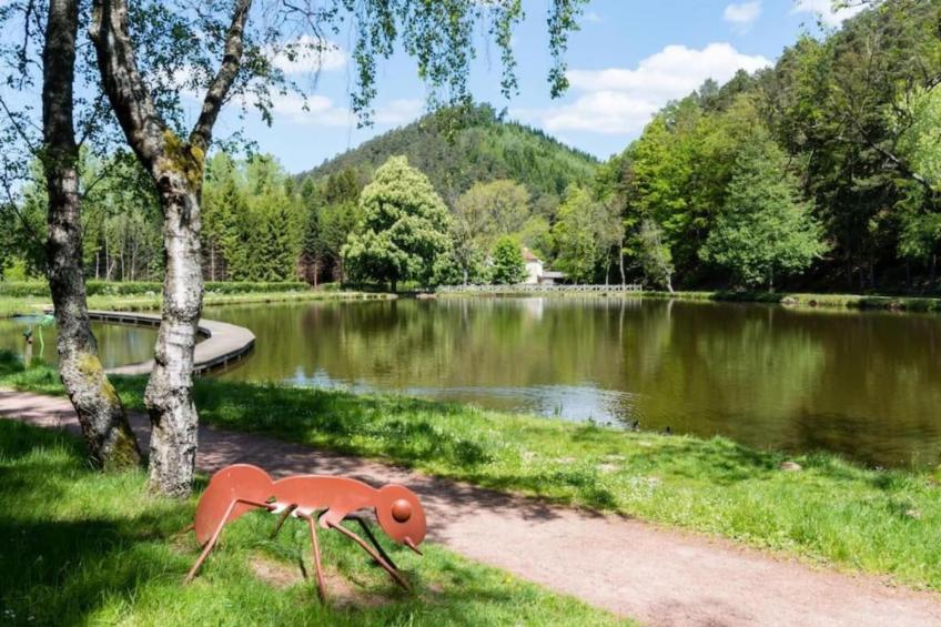 Domaine Des Messires 2 - foto 20