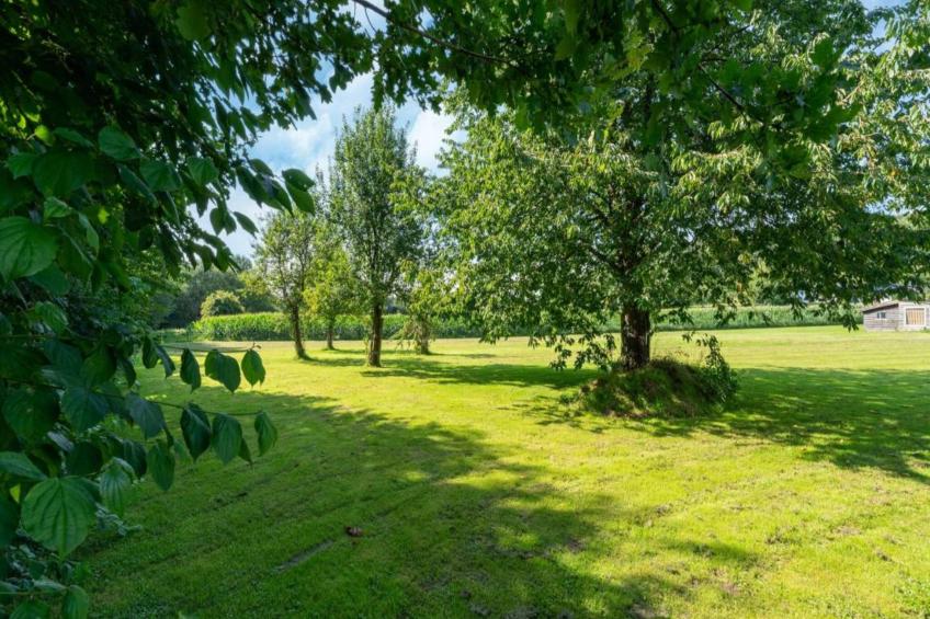 Bie Leentje op de Wei - foto 41