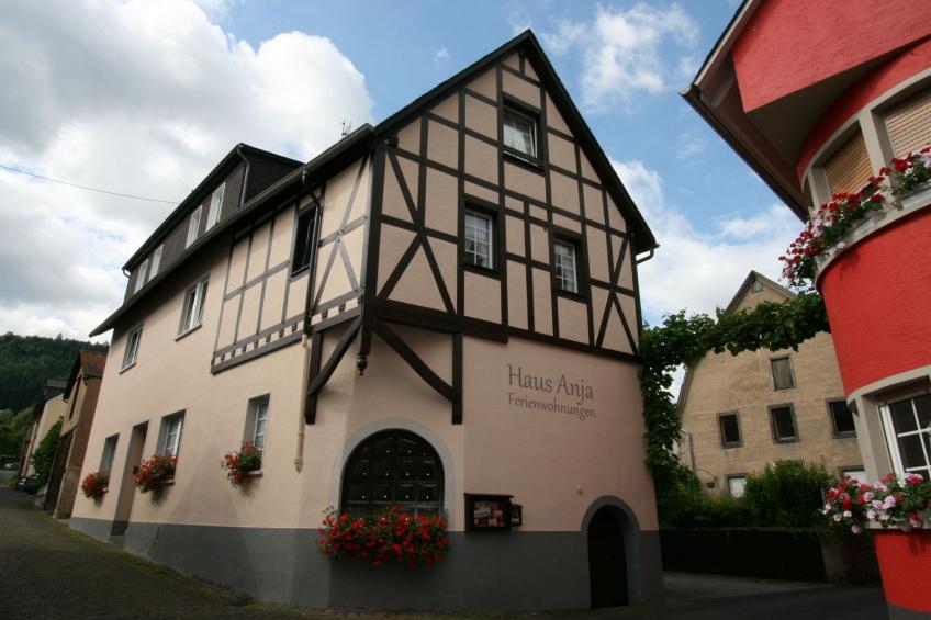 FEWO Hortensie - foto 10